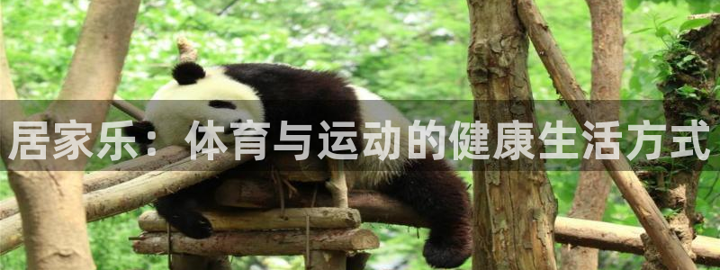 qy球友会体育网址